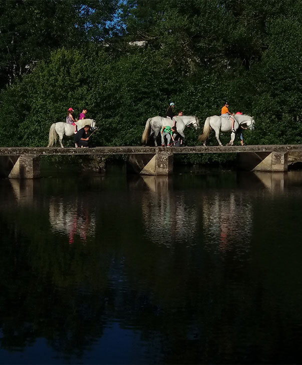 Vacances équestres au cœur de l’Auvergne, lors de votre séjour camping les Murmures du Lignon à Tence