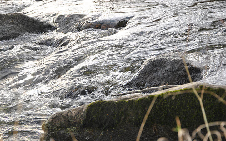 Pêche en rivière à proximité du camping en Auvergne les Murmures du Lignon