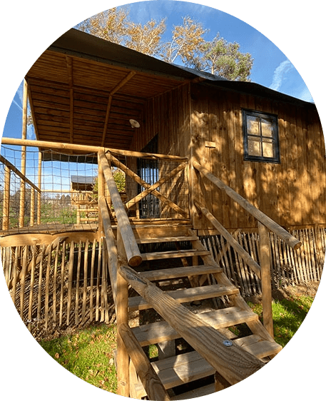 Vue extérieure de la grande cabane insolite avec terrasse, en location au camping les Murmures du Lignon en Haute-Loire