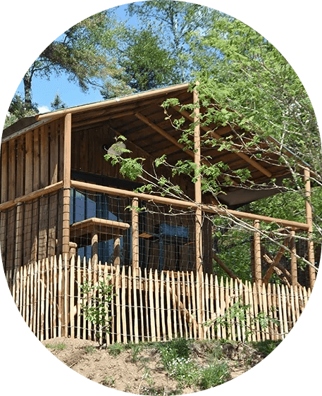 Vue extérieure de la petite cabane insolite avec terrasse, en location au camping les Murmures du Lignon en Auvergne, entre authenticité et chaleur