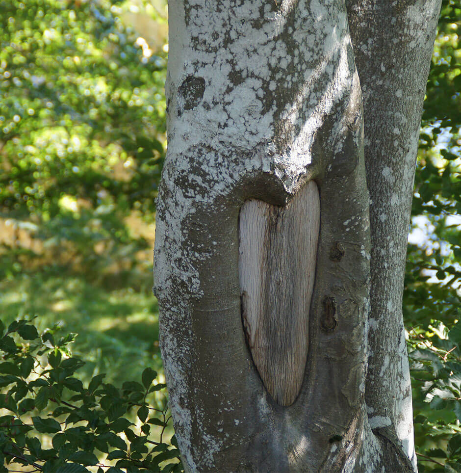 Contact et accès au camping Les Murmures du Lignon à Tence