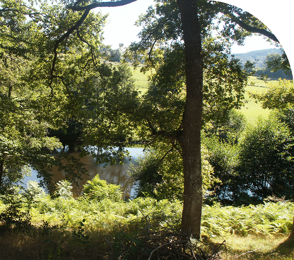 Le camping Les Murmures du Lignon en Auvergne est bordé par la rivière Le Lignon, classée Natura 2000.